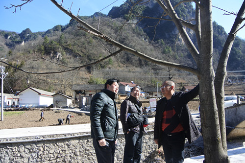 DSC_1003_副本.jpg