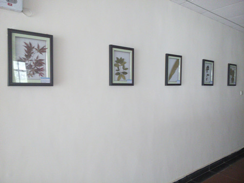 img_20140528_112512_副本.jpg