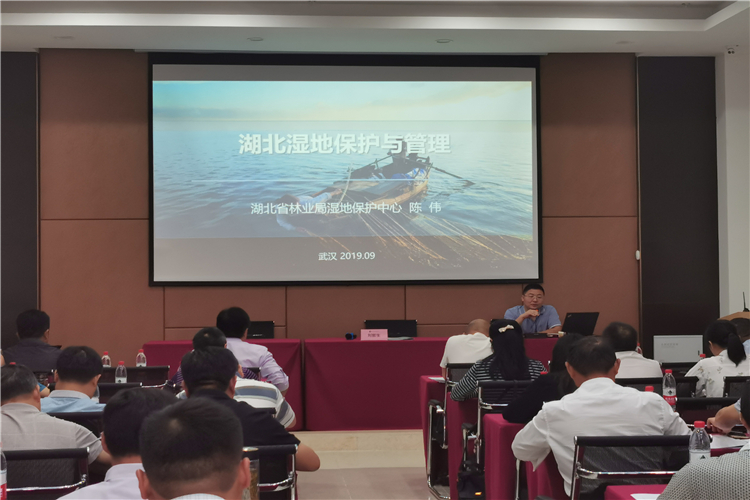 湖北湿地保护与管理 (2).jpg