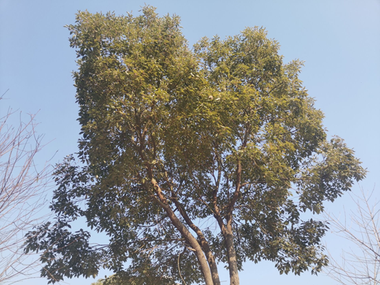 1652962741851562.png