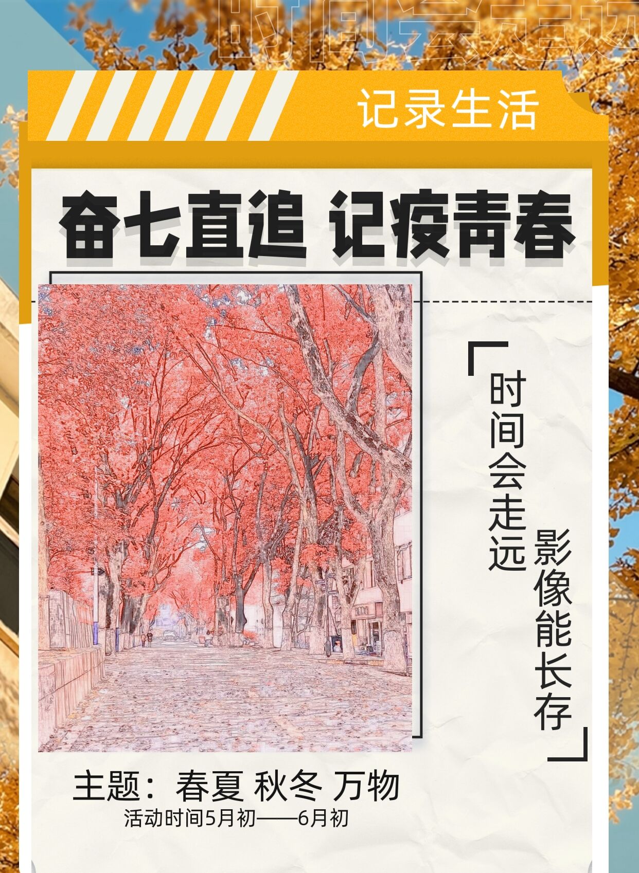 奋七直追.jpg