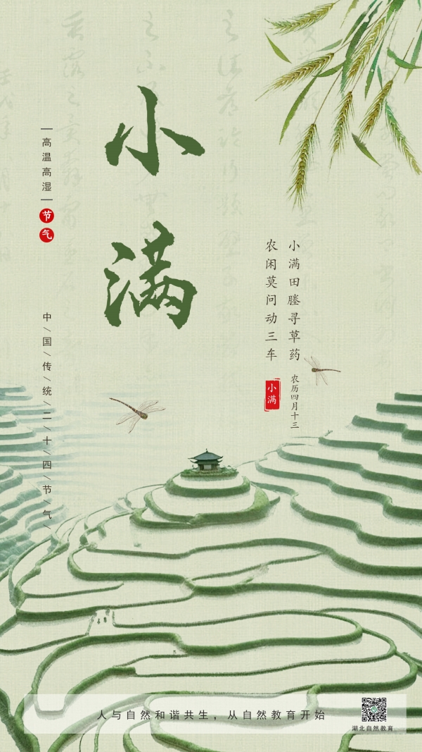 8-小满_副本.jpg