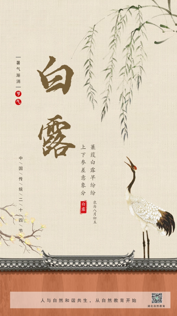 15-白露_副本.jpg