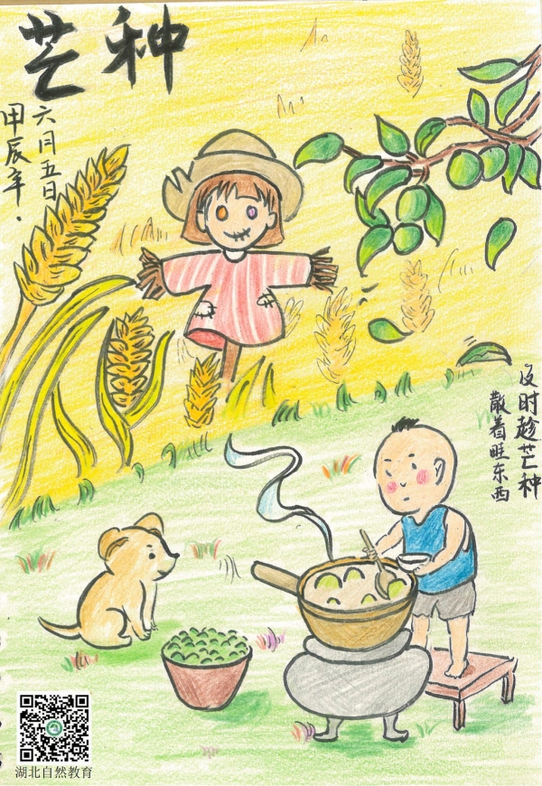 芒种_副本.jpg