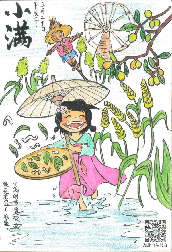 小满_副本.jpg