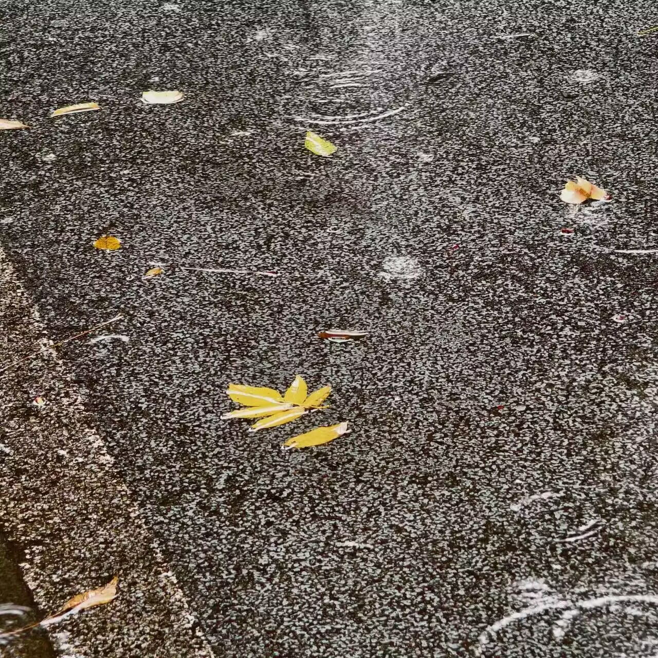 1745590016756089.jpg