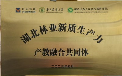 新质生产力_副本.jpg