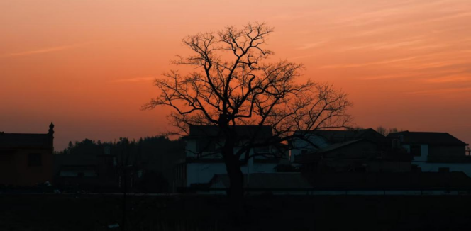 1772186067306388.png image.png