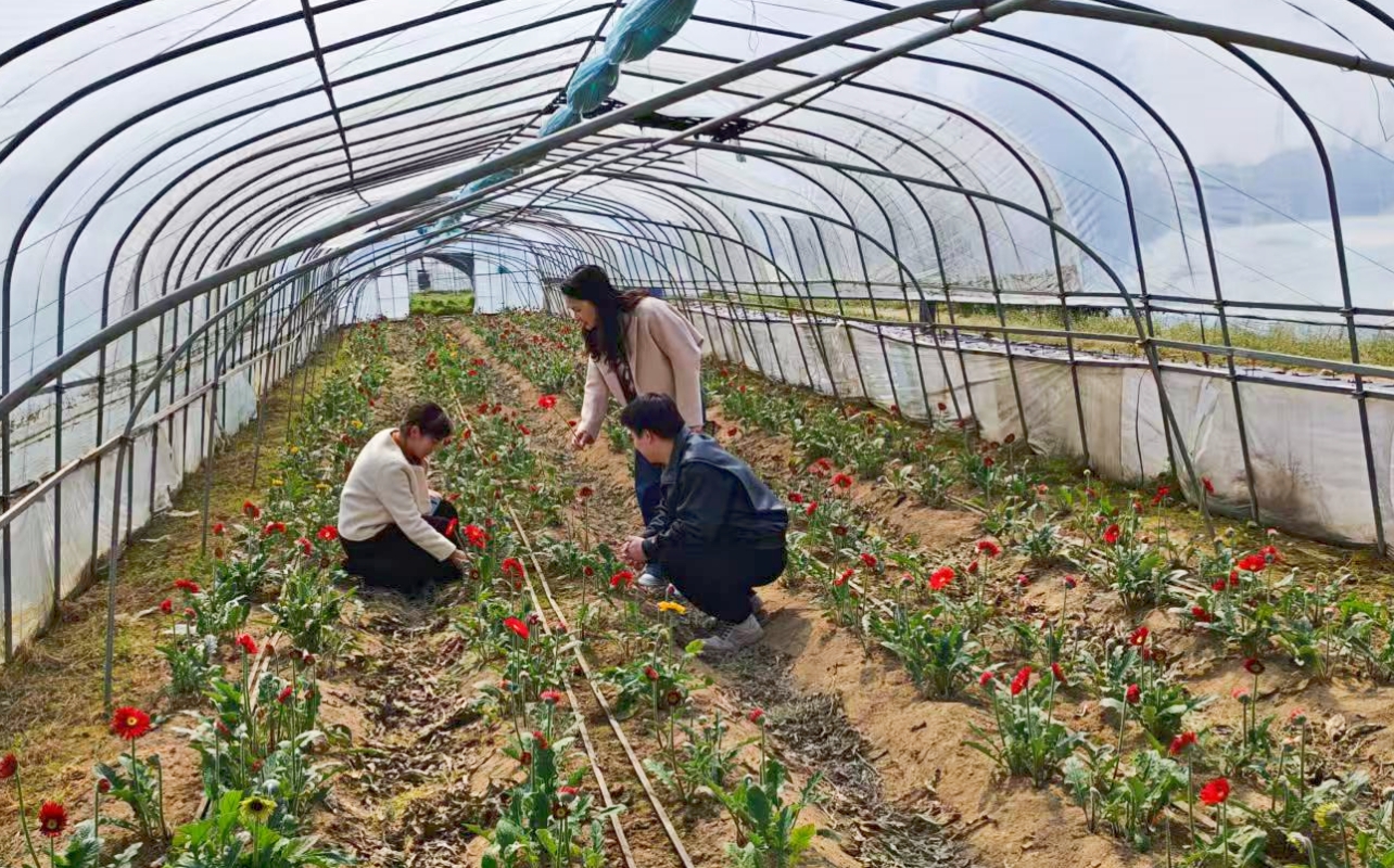 1773571934785514.jpg 4.jpg