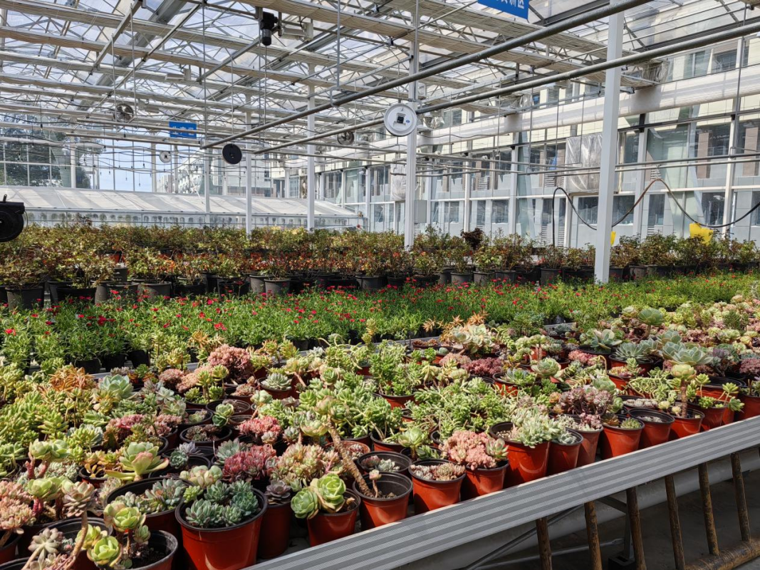 1773996856591281.png 图片3.png