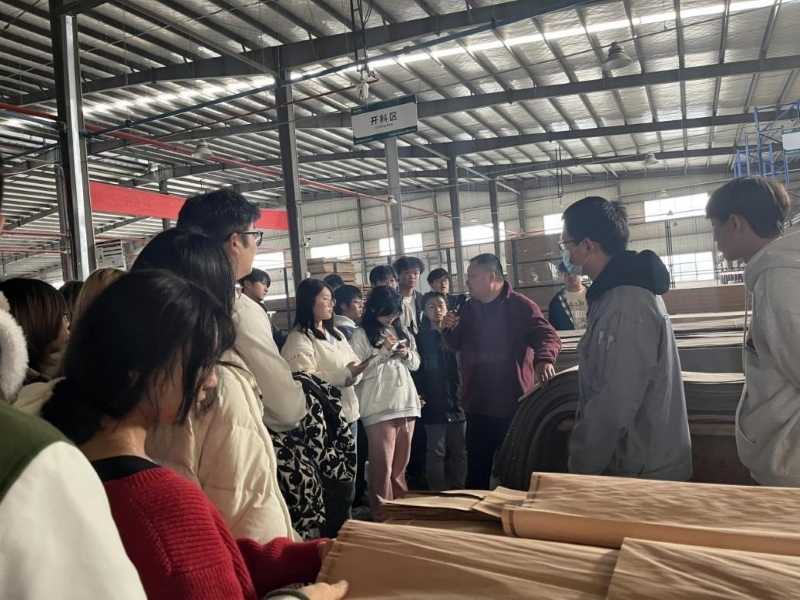 1774239618864710.jpg 7.jpg