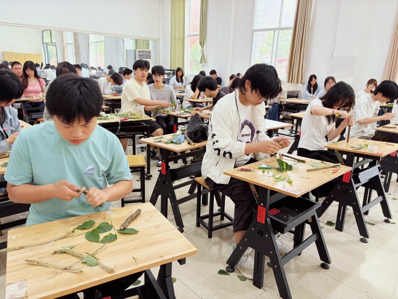 1780037386854082.jpg Image_1779867864724_272_副本.jpg
