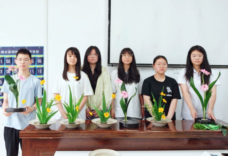 1780037989672688.jpg qq_pic_merged_1780033161068_副本.jpg