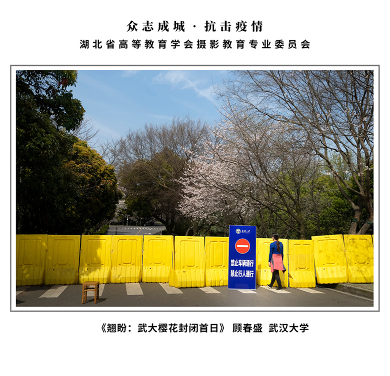 5 二等奖 翘盼 顾春盛 武汉大学_副本.jpg